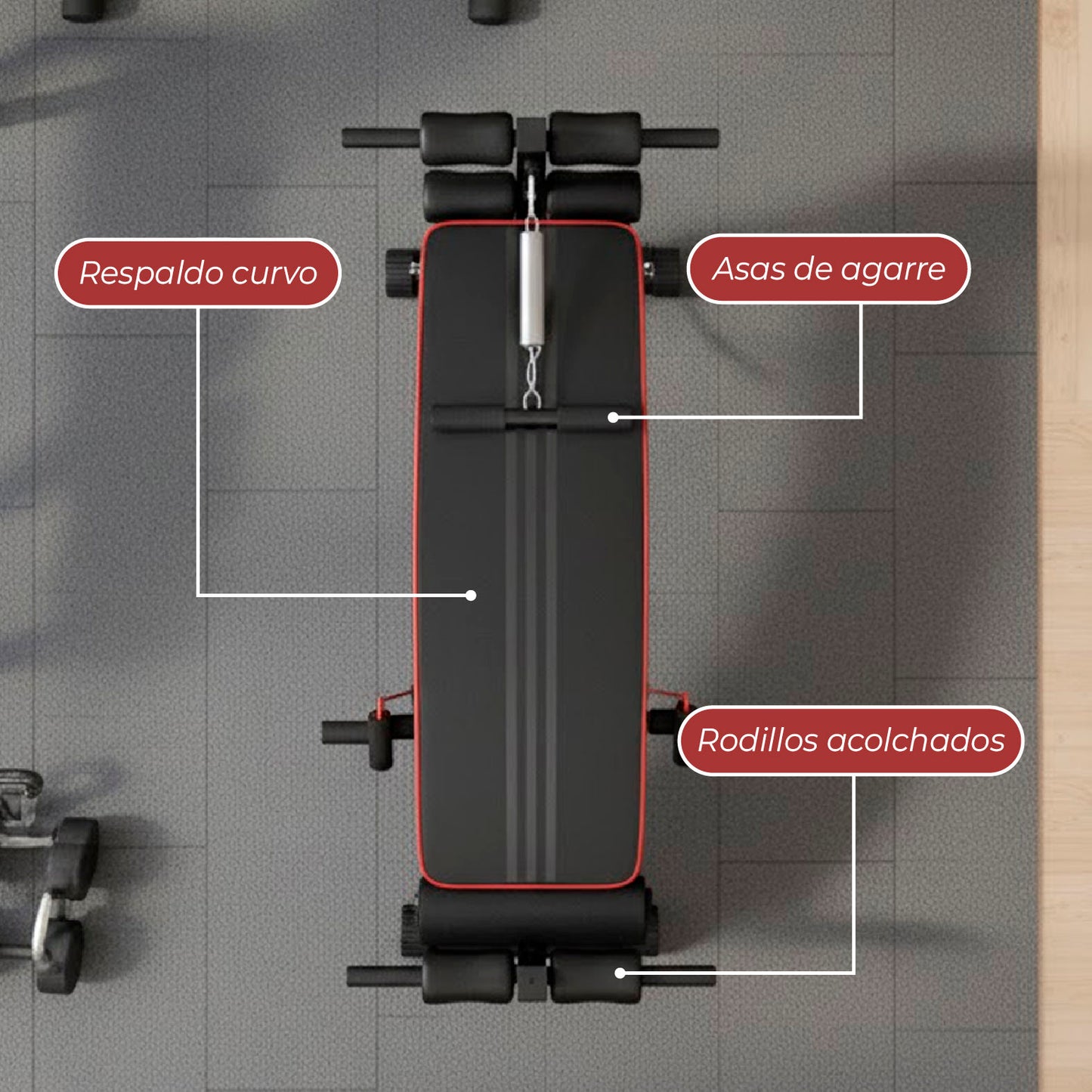 Banca Abdominales Full Pro Biceps Triceps Con Bandas