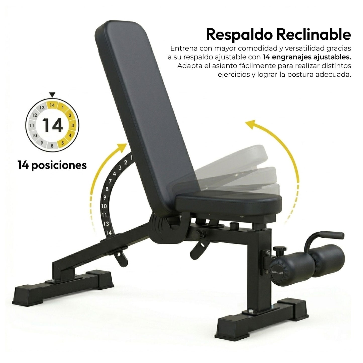 Press banca Abdominal Inclinable Declinable Multifuncional
